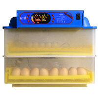 Двухъярусный бытовой инкубатор для яиц с овоскопом и 2 датчиками температуры &quot;incubatOr 72&quot;